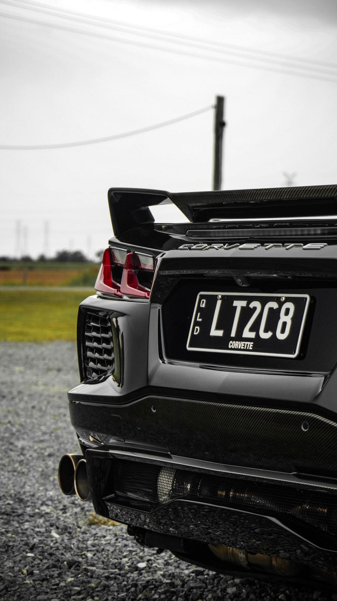 Corvette C8 rear end, carbon wing and LT2C8 plate