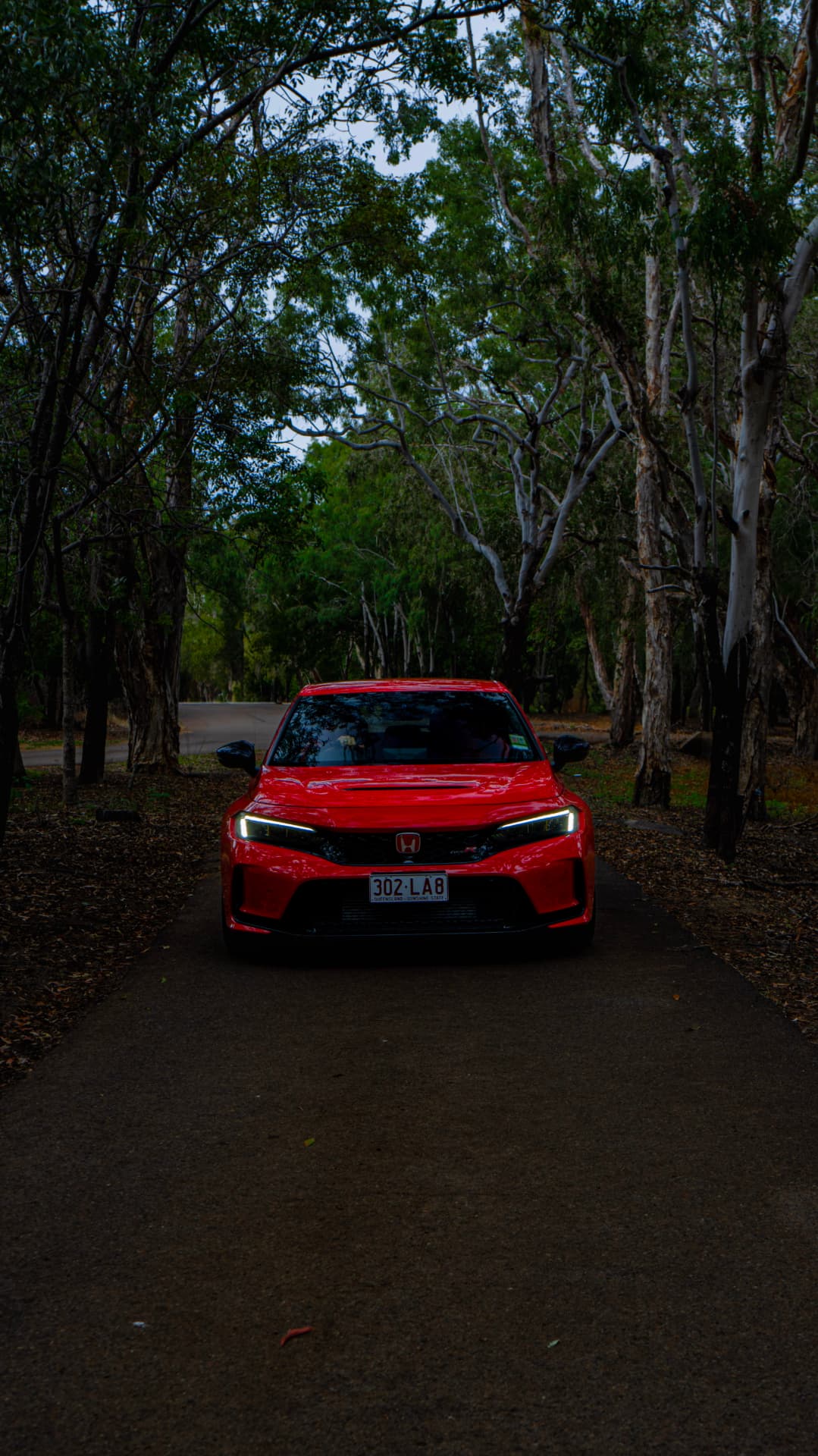 Red Civic Type R head-on down a tree-lined track
