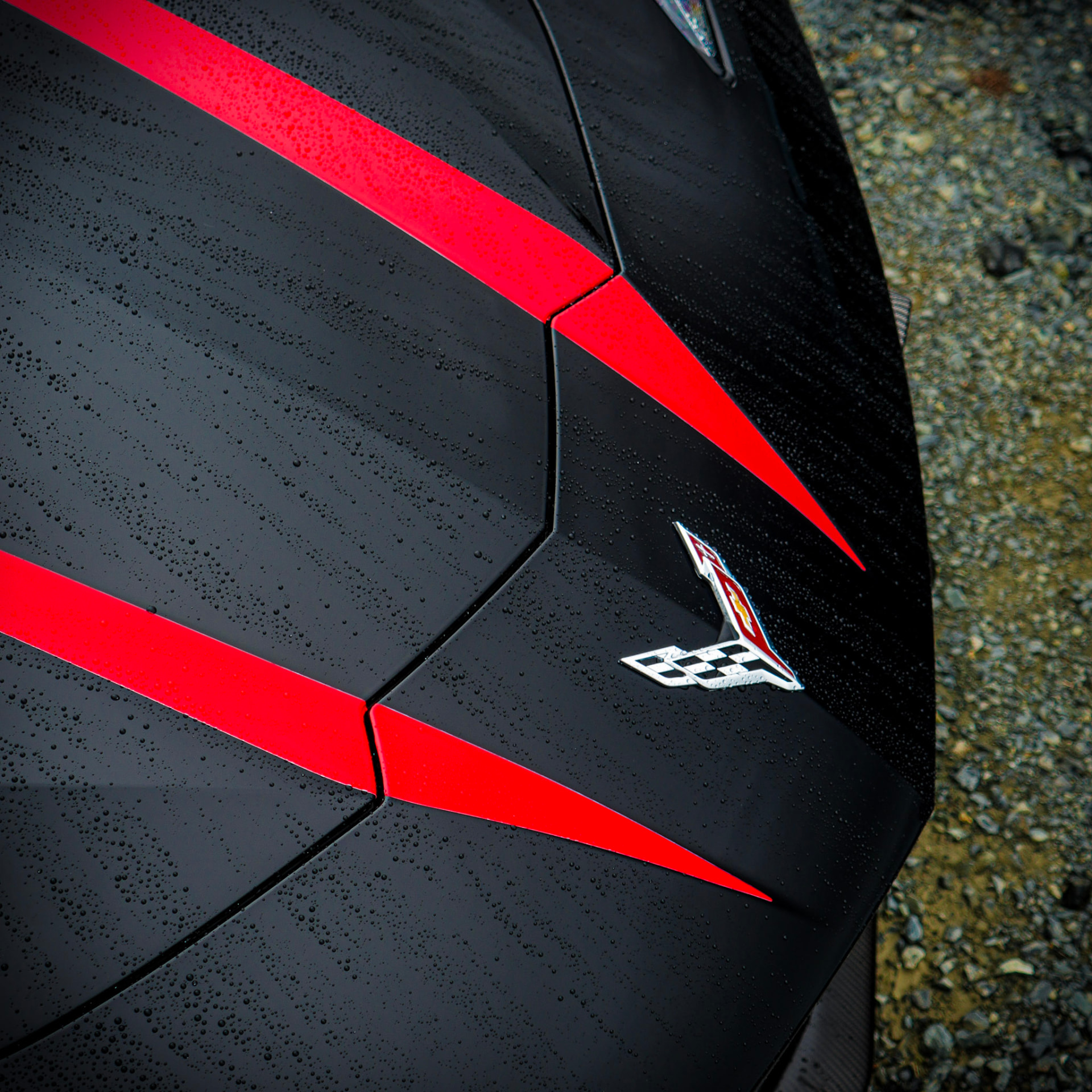 Close-up of the Corvette bonnet stripes and badge